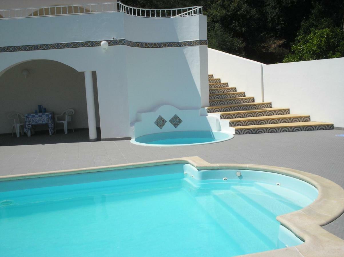 Vivenda Pirilampo Villa Vila Nova de Poiares Luaran gambar