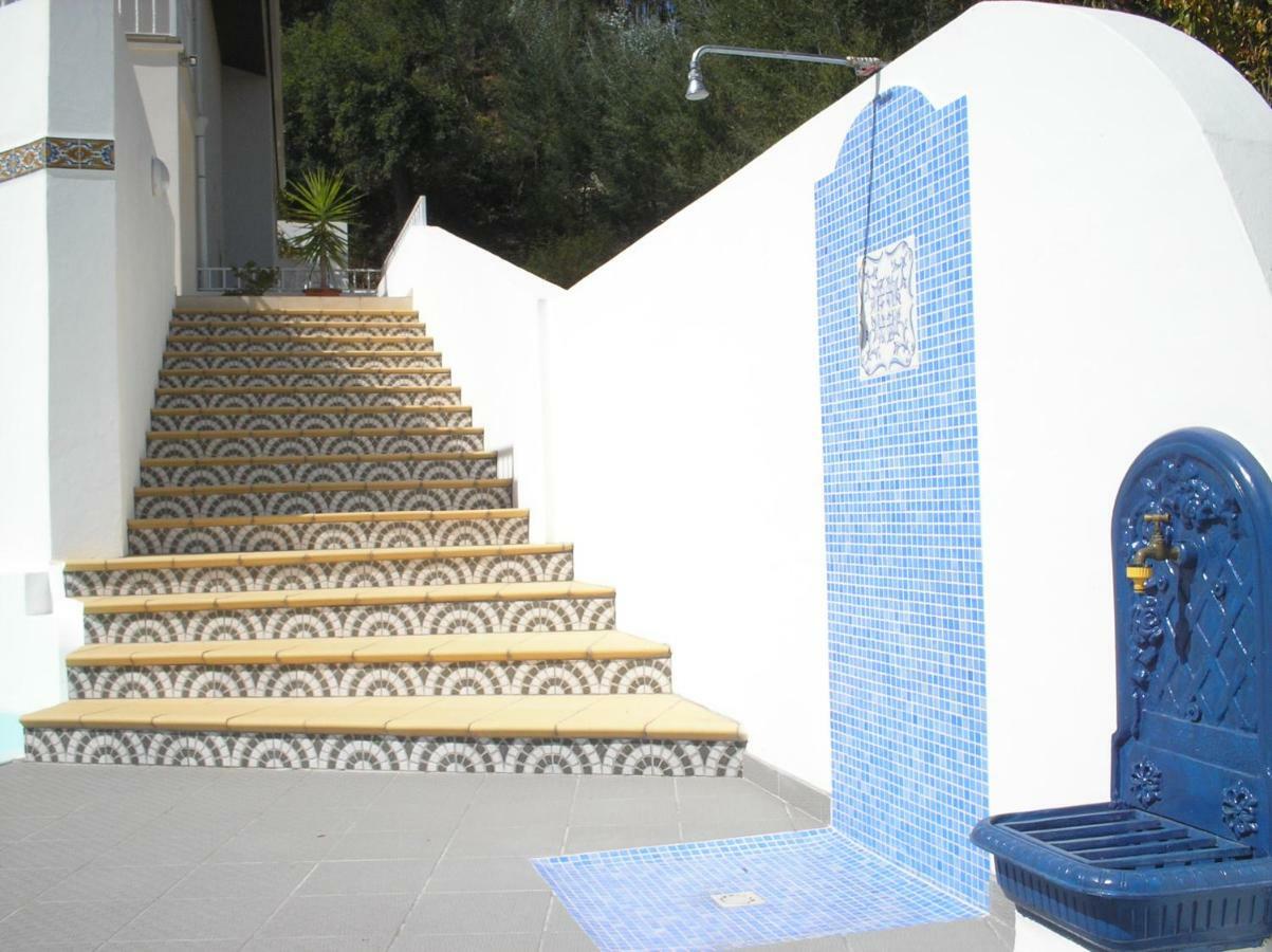 Vivenda Pirilampo Villa Vila Nova de Poiares Luaran gambar